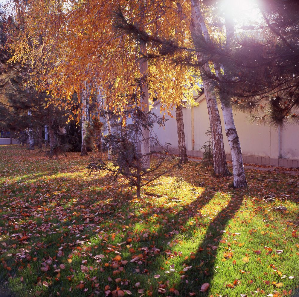 Краски осени