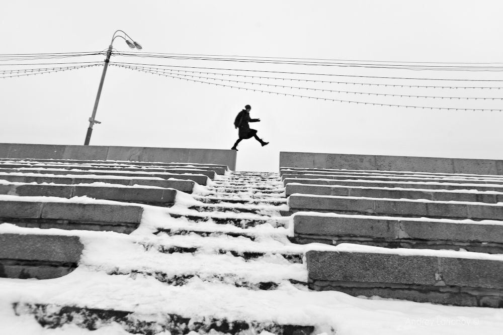 Портфолио