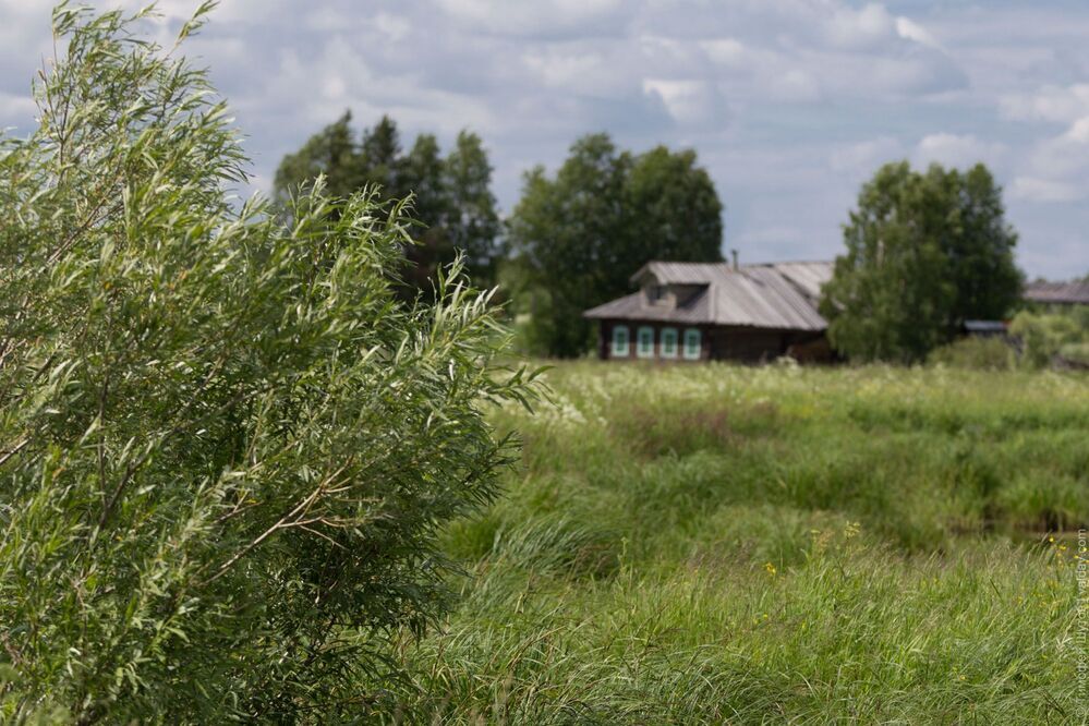 Родина