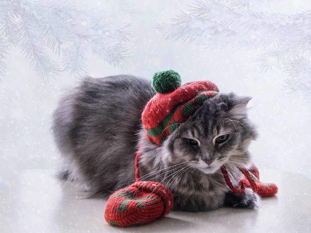 Жаль, лыжи не достали!