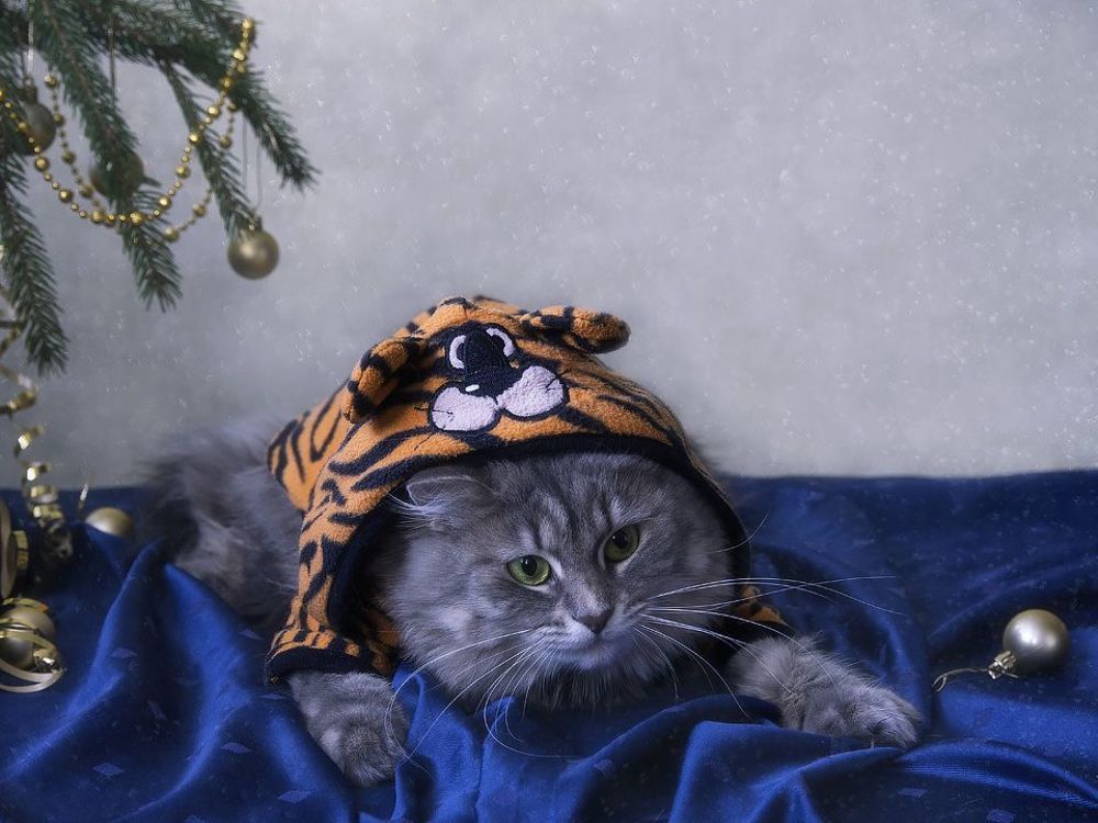 Главное - чтобы костюмчик сидел!