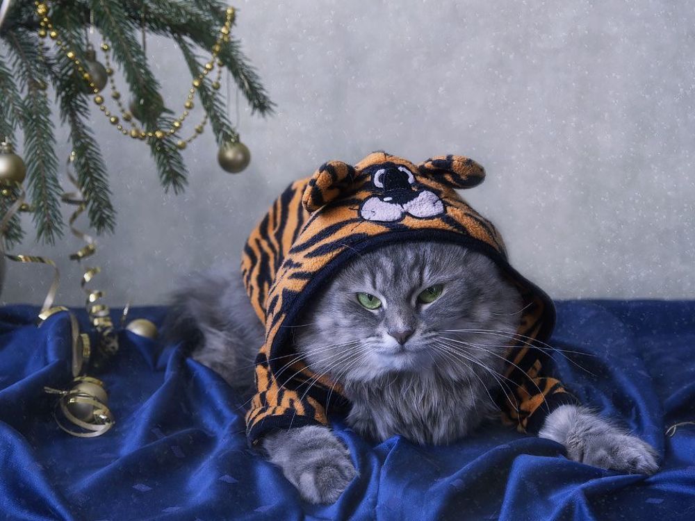 Главное - чтобы костюмчик сидел!