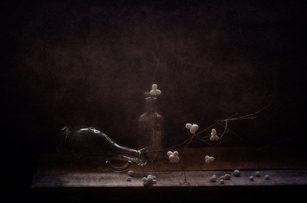 " Снежноягодник"