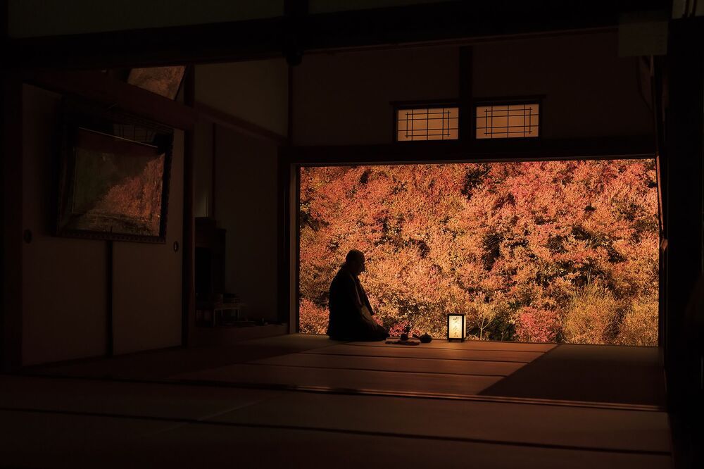 Japan landscape