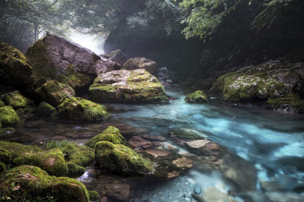 Japan landscape