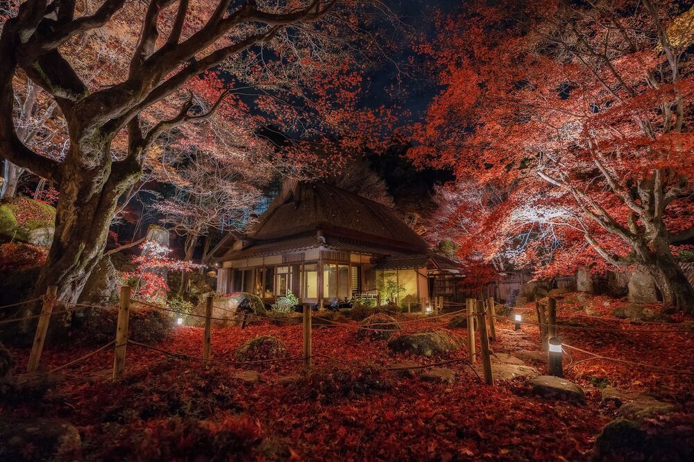 Japan landscape