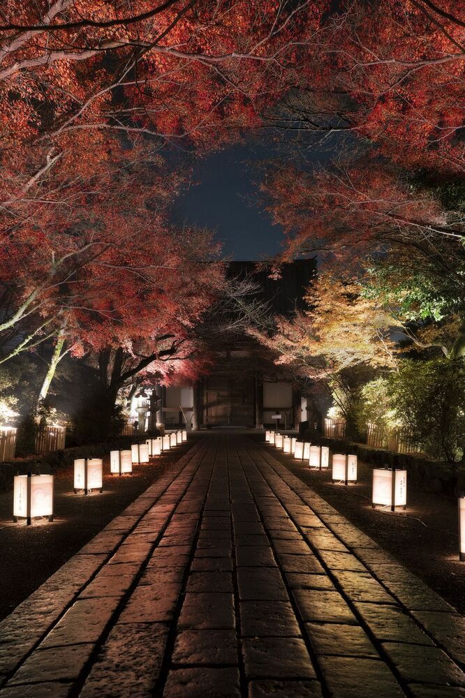 Japan landscape