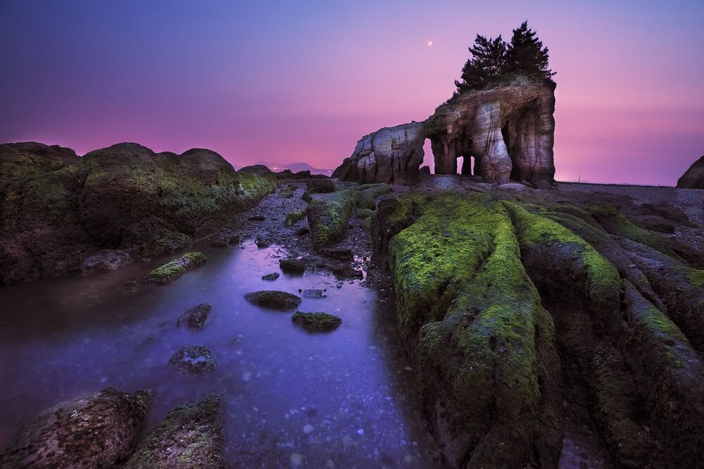 Japan landscape