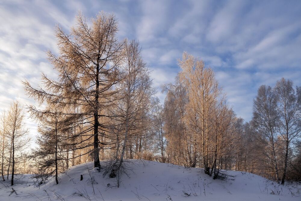 Декабрьские зарисовки
