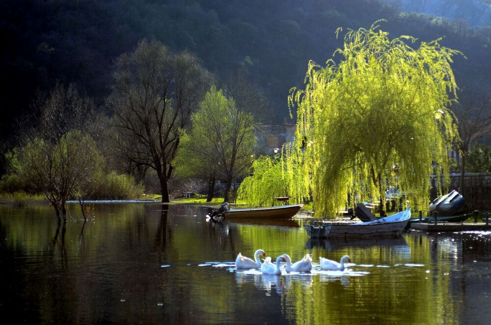 A from a Montenegro with a love