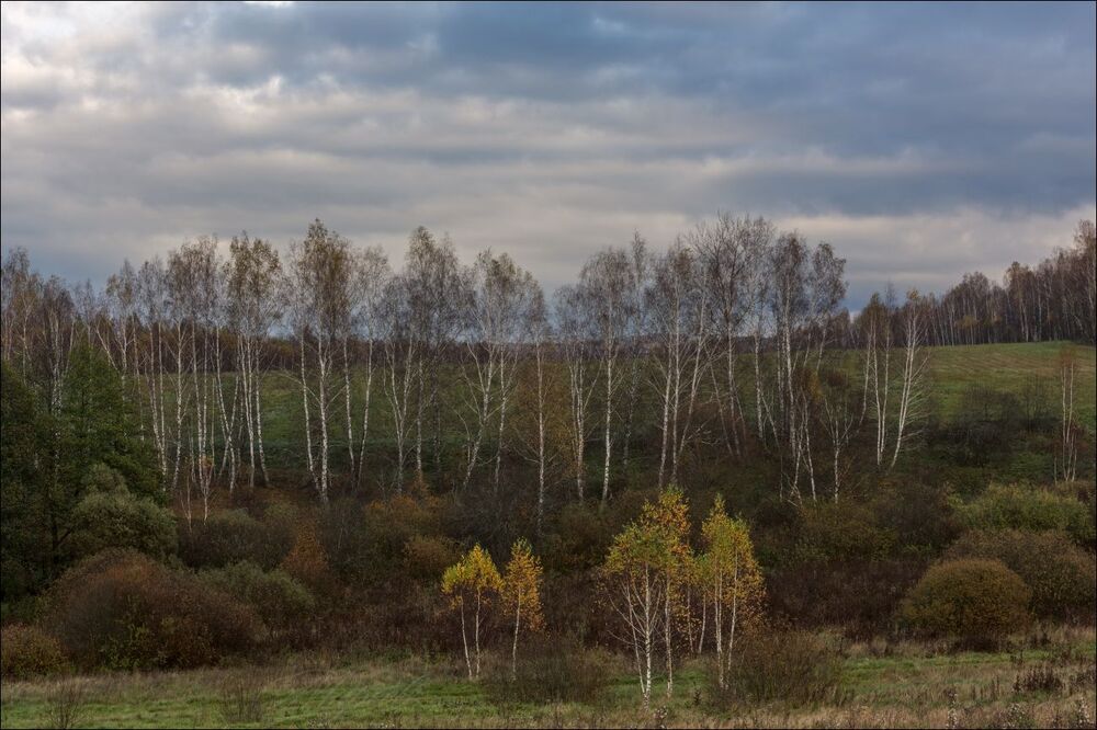 К вечеру небо стало синеть