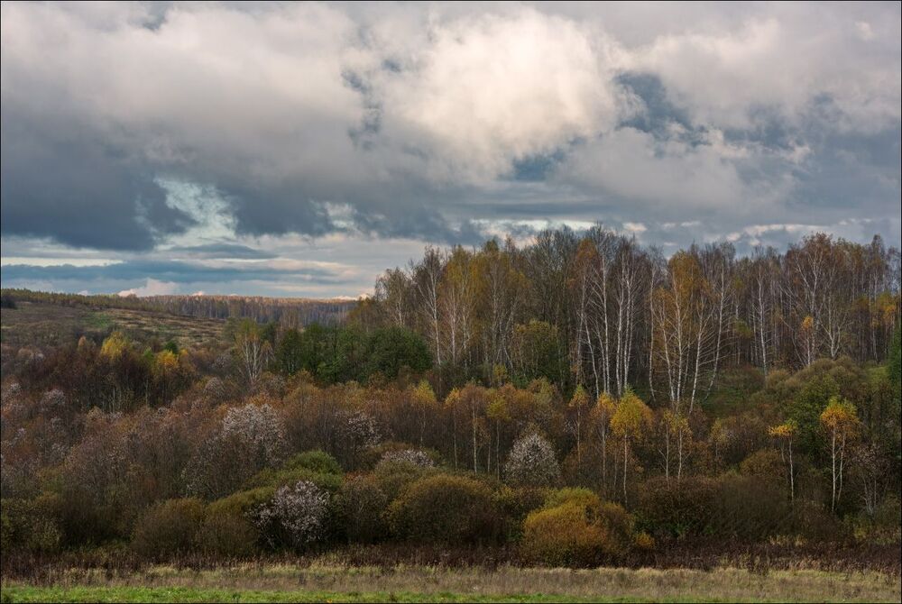 По облакам полоснуло солнце