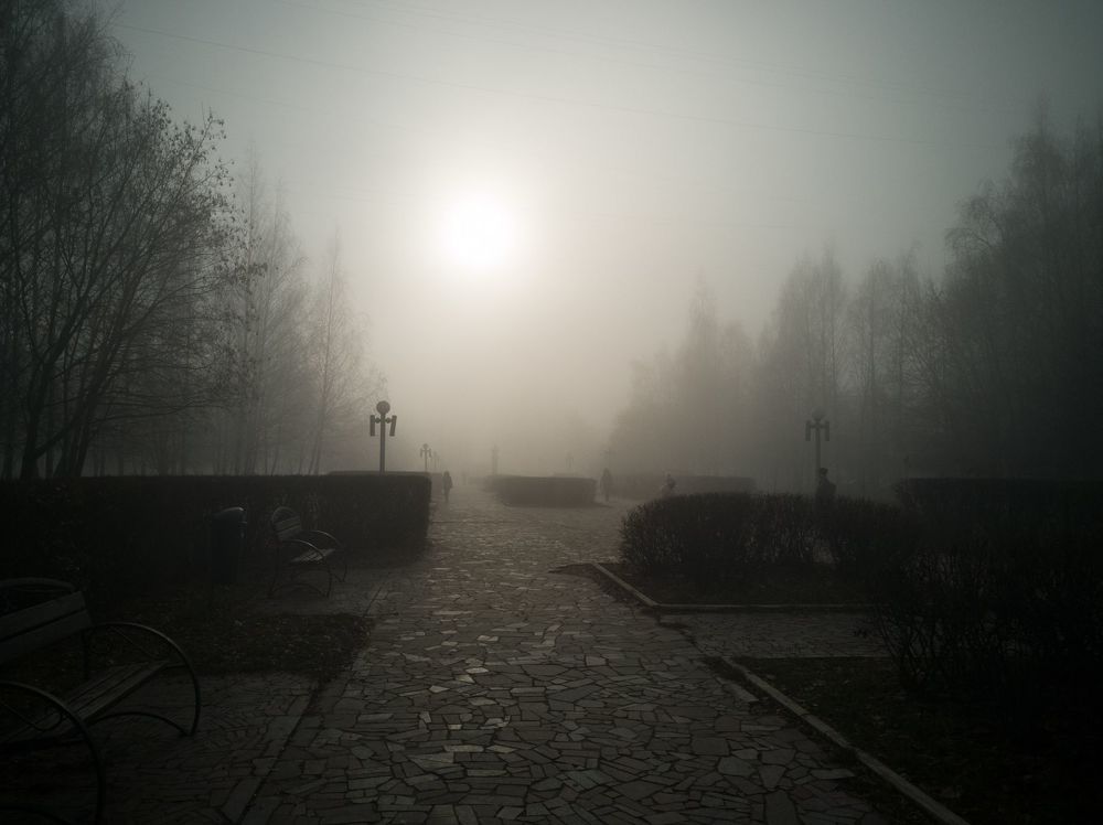 Рязань в тумане