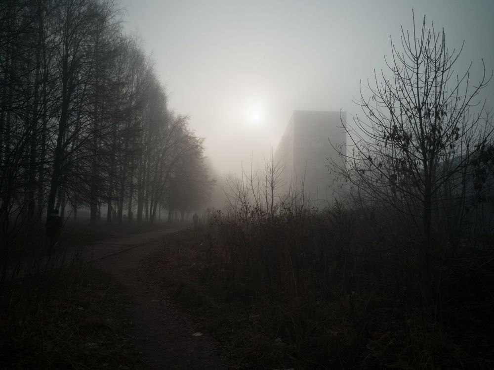Рязань в тумане