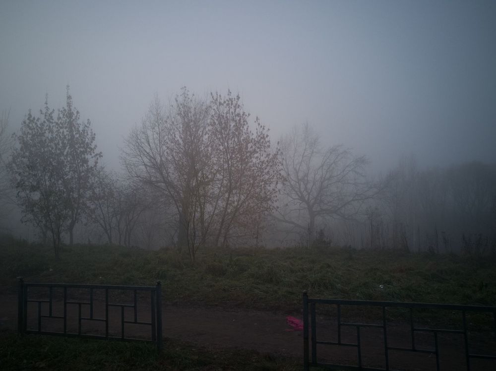 Рязань в тумане