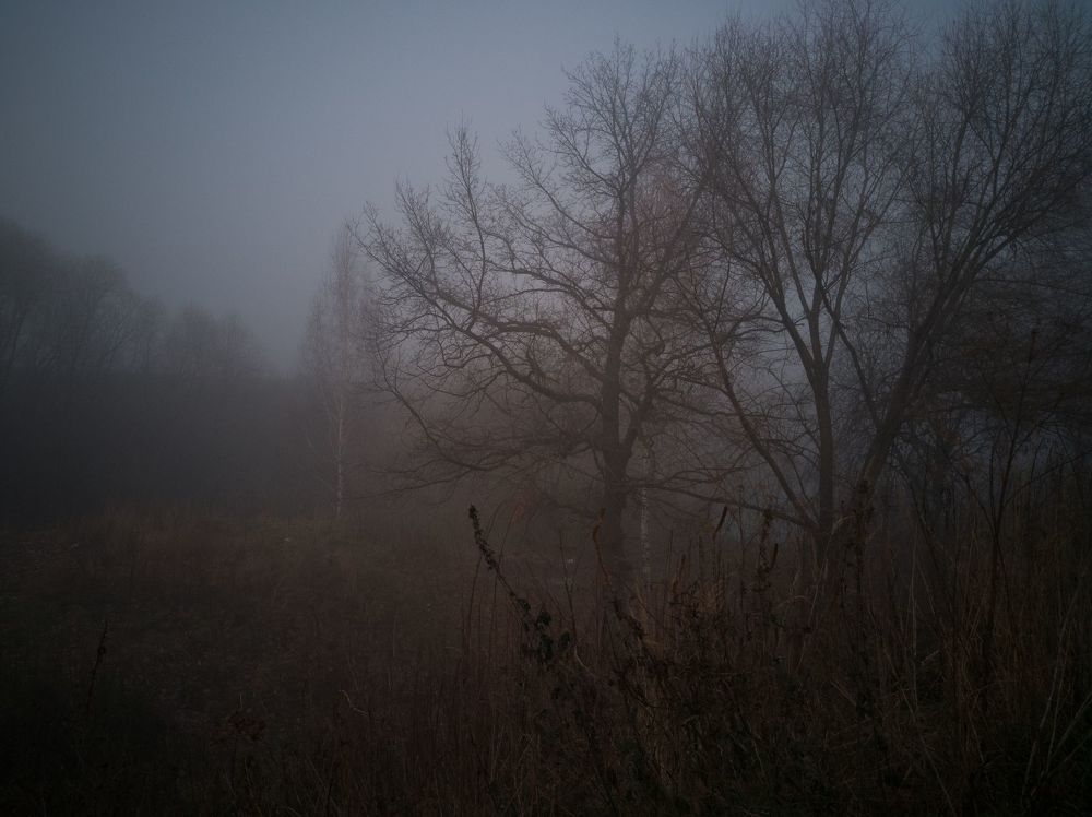 Рязань в тумане