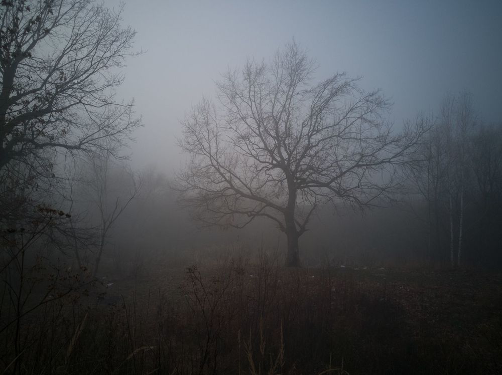 Рязань в тумане