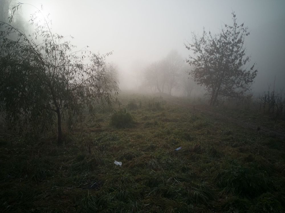 Рязань в тумане