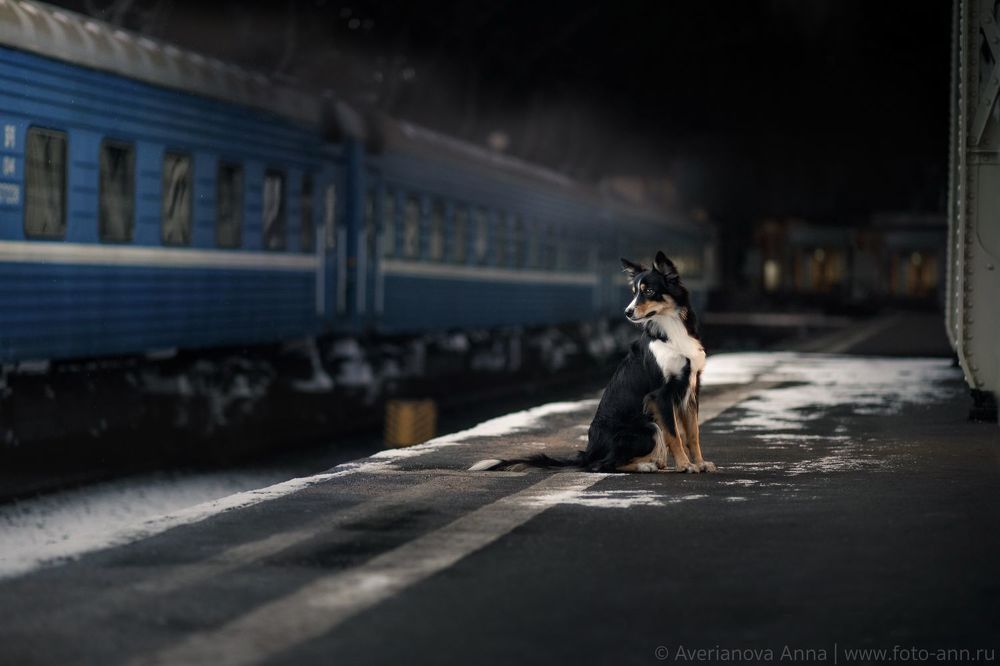 Встреча