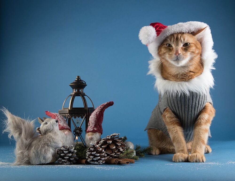 С Наступившим Всех C Новым Годом! Happy New Year!