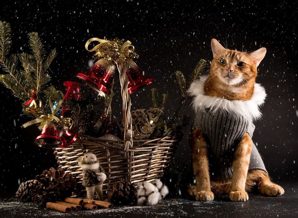 С Наступившим Всех C Новым Годом! Happy New Year!