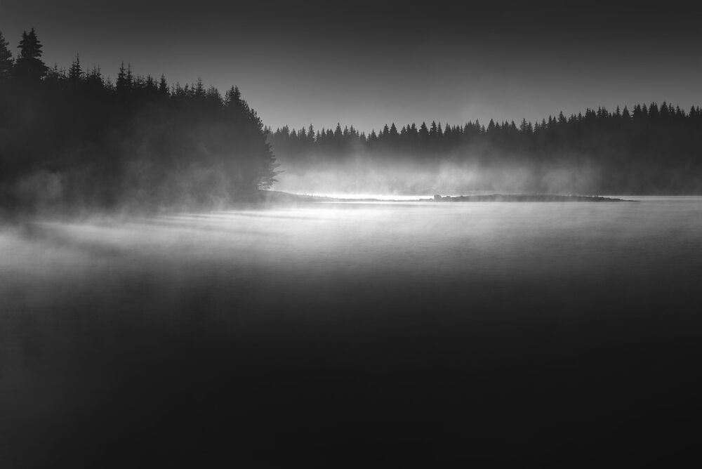 Photo 1206022