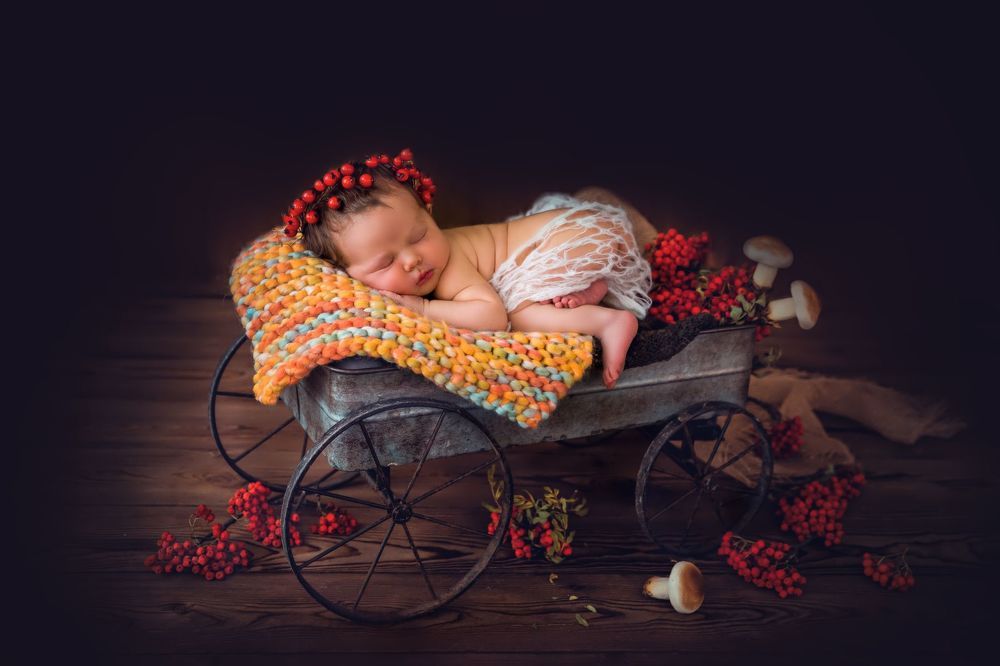 ФОТОГРАФИИ НОВОРОЖДЕННЫХ