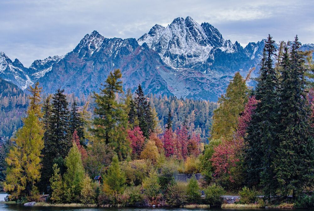 Photo 1207318