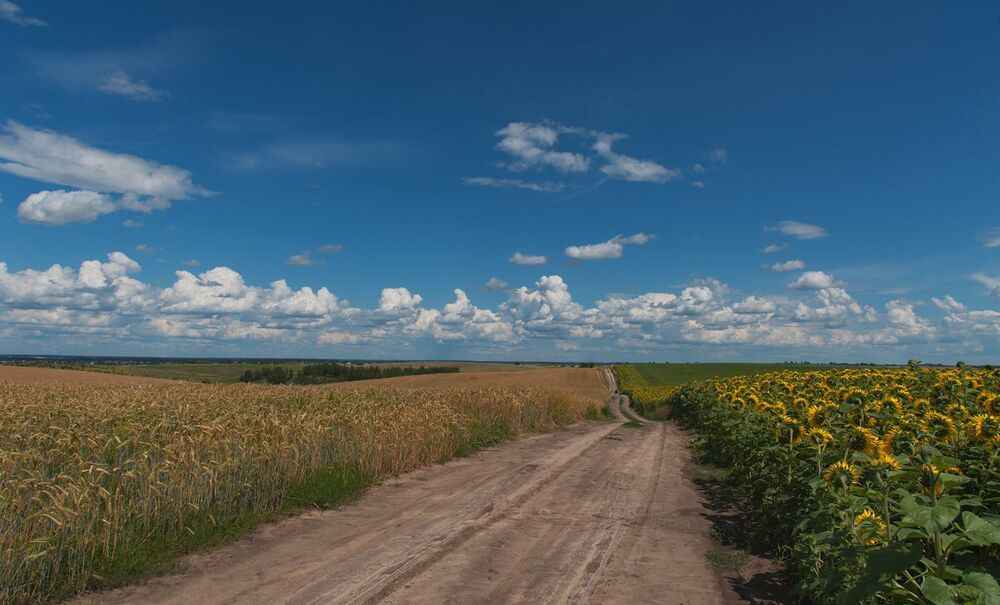 моя Україна