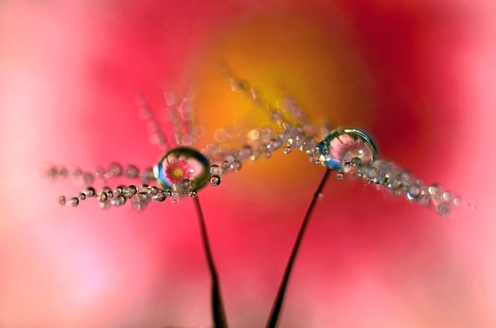 Magic World