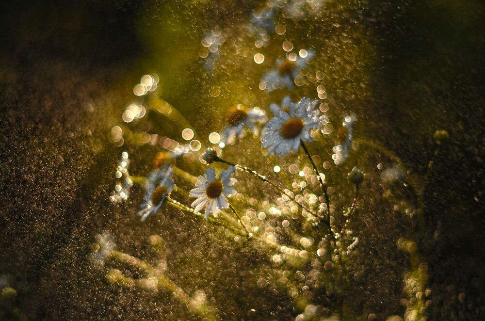 Magic World