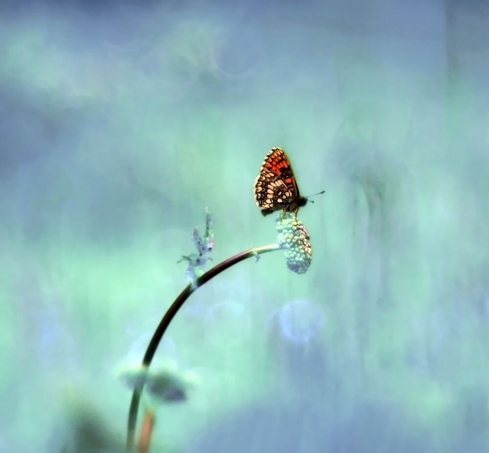 Magic World