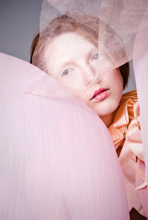 Photo 121366