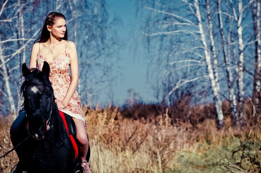 Horse
