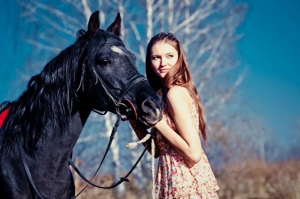 Horse