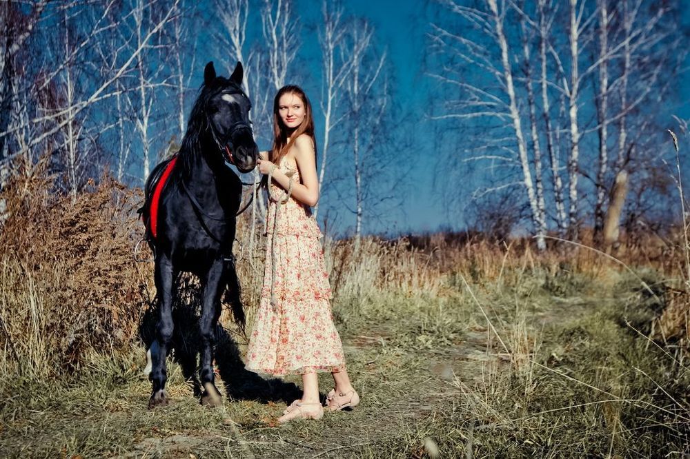Horse