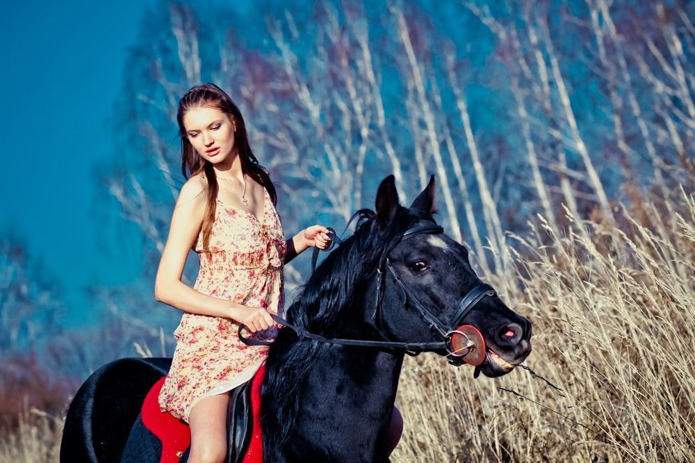Horse