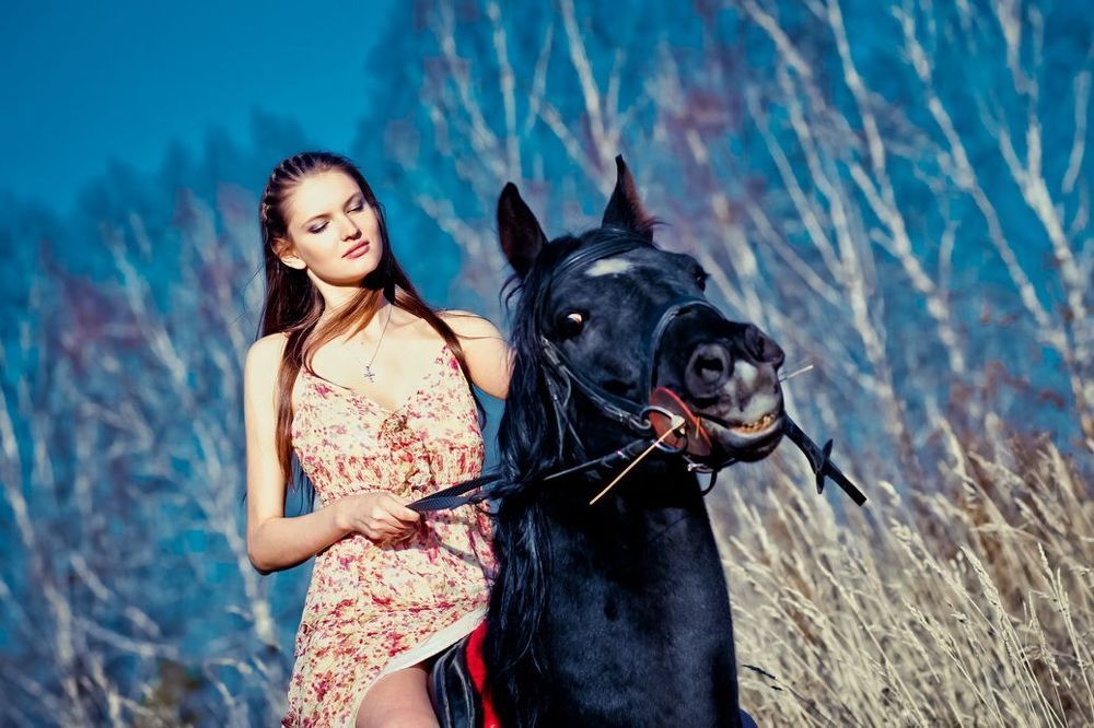 Horse
