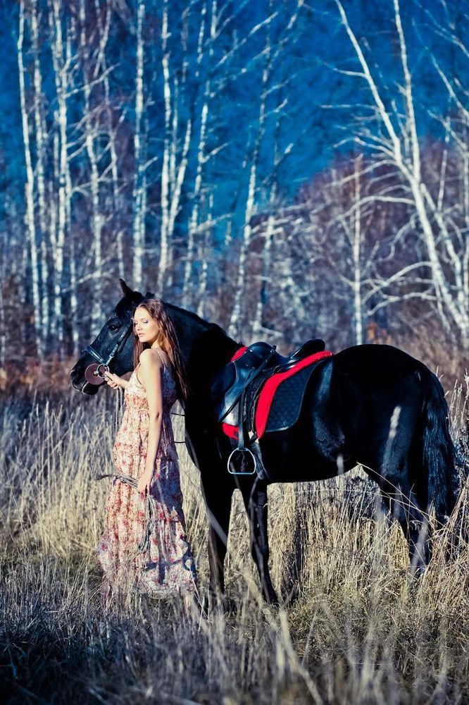 Horse