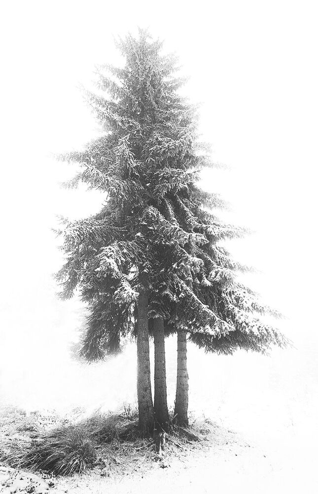 Photo 1210078