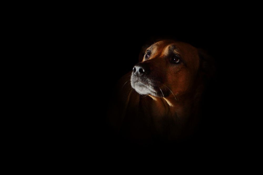 Photo 1211158