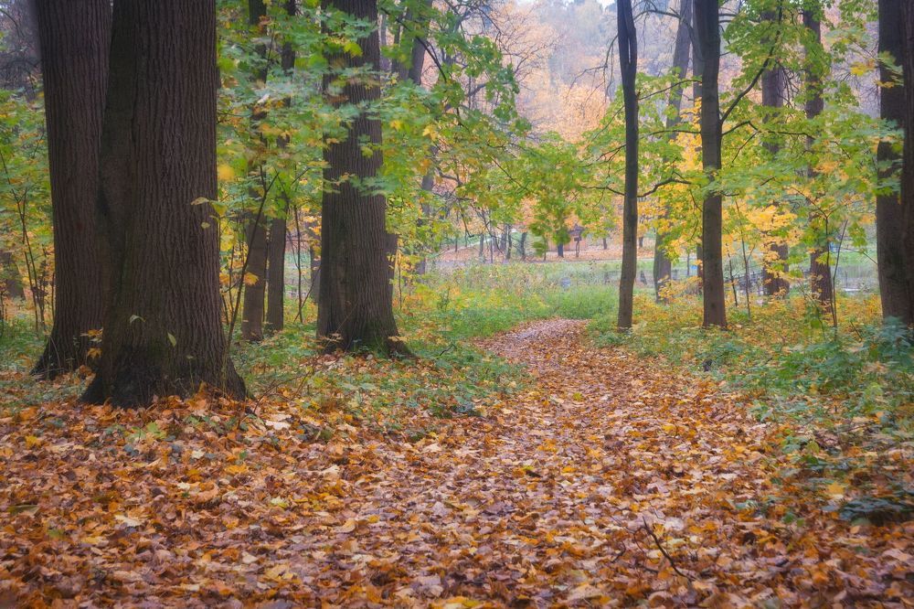 В парке осеннем (вариации)