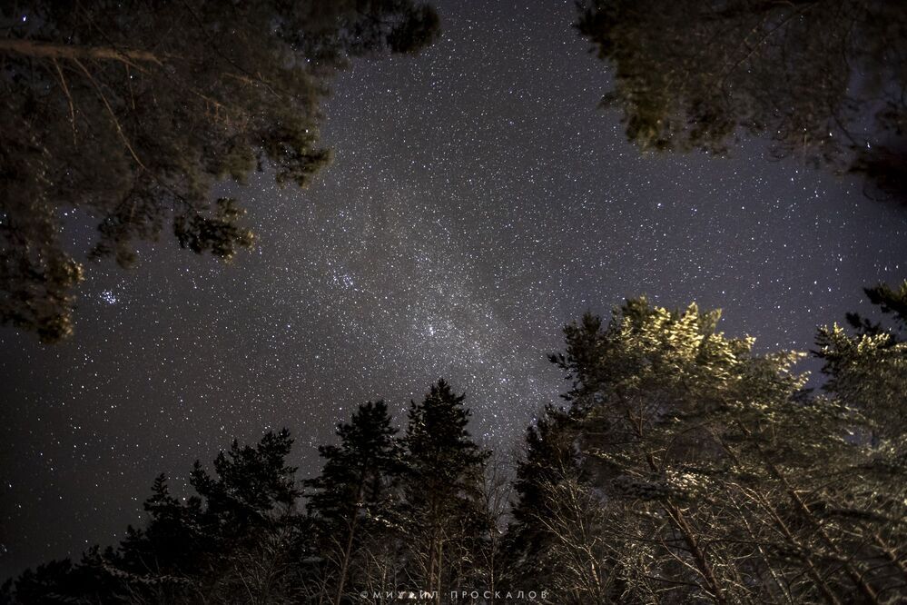 Photo 1212555