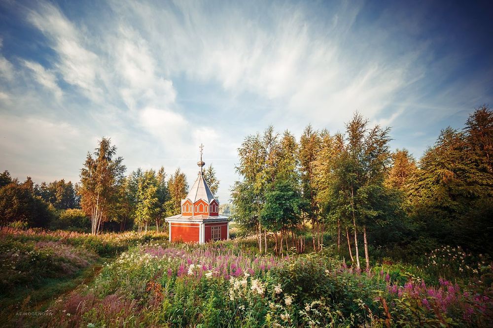 Утро в Ширково