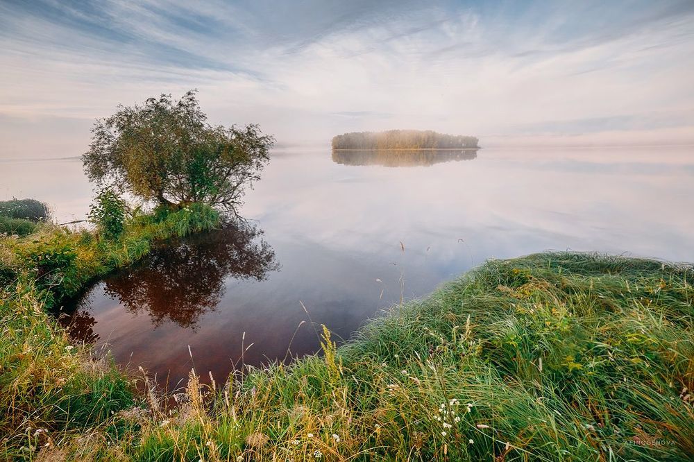 Утро в Ширково