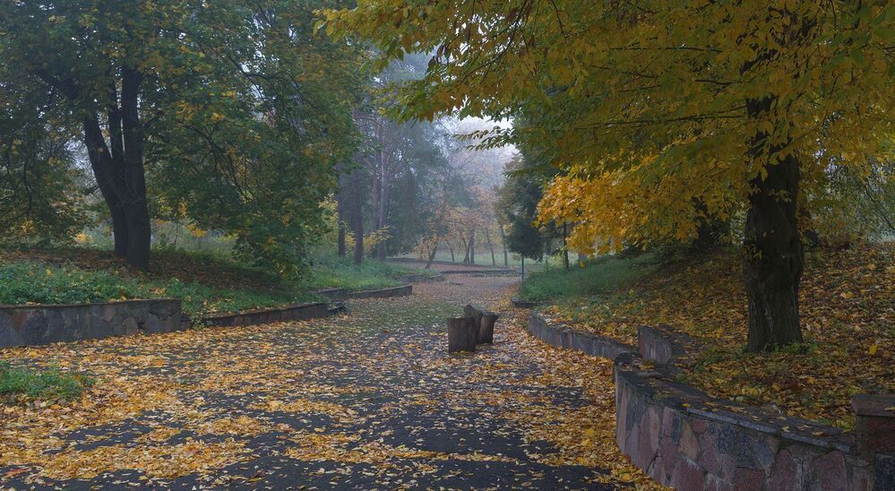 осень в моём городе