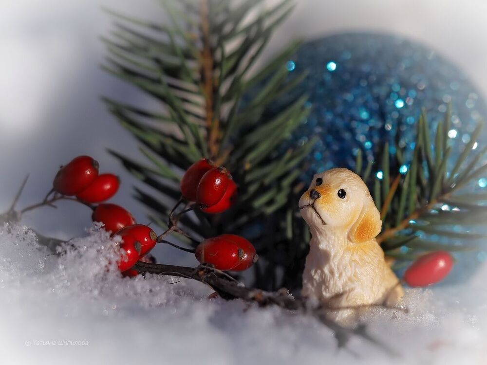 Новогодние хлопоты