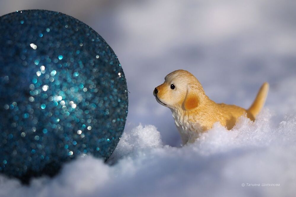 Новогодние хлопоты