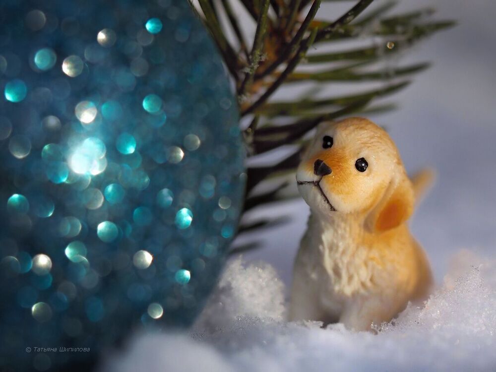 Новогодние хлопоты