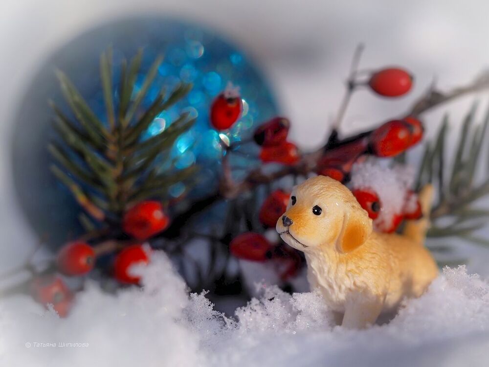 Новогодние хлопоты